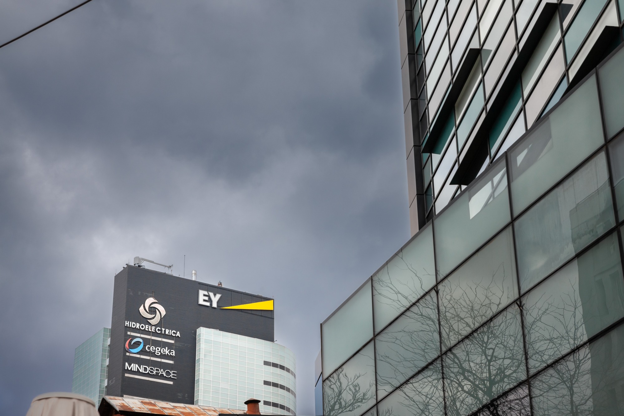 Rumunia to nowe centrum IT Europy. Dlaczego coraz więcej firm rekrutuje właśnie tam? 