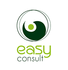 Logo Easy Consult