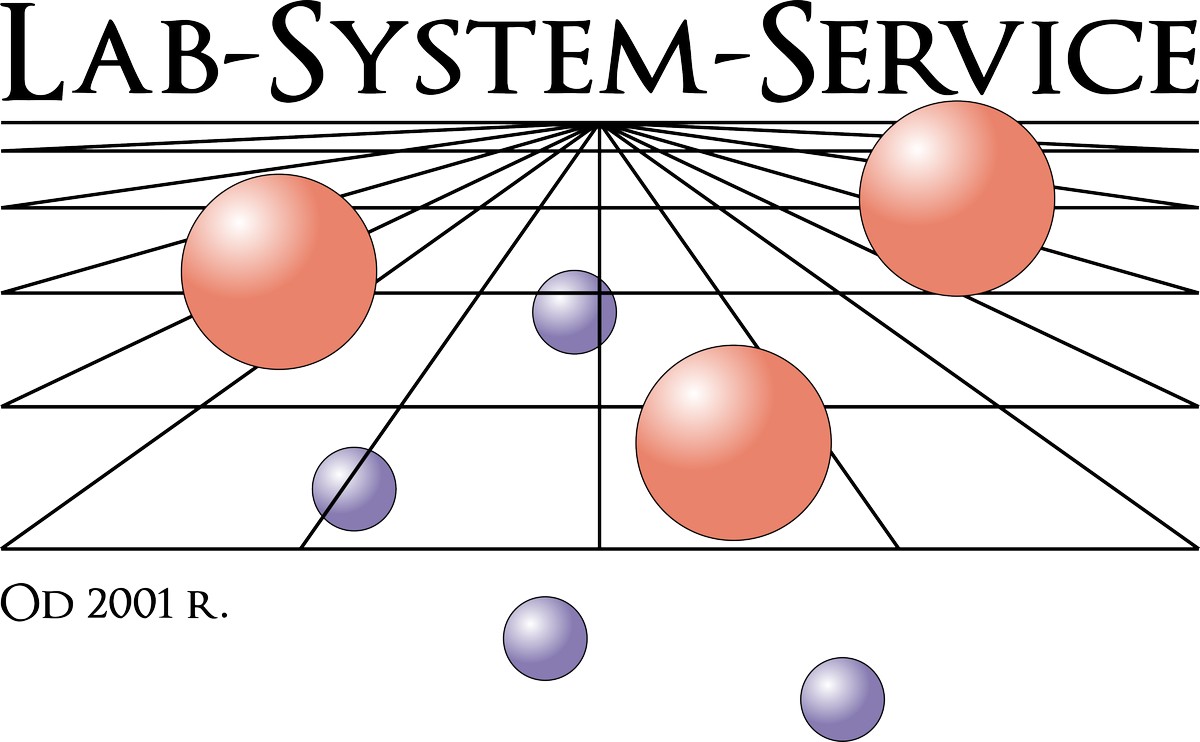 Logo Lab-System-Service