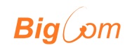 Logo BIGCOM SP. Z O.O.