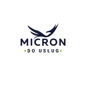 Micron