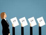 Holandia jobs